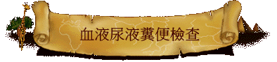 ��G���G�T�K�ˬd